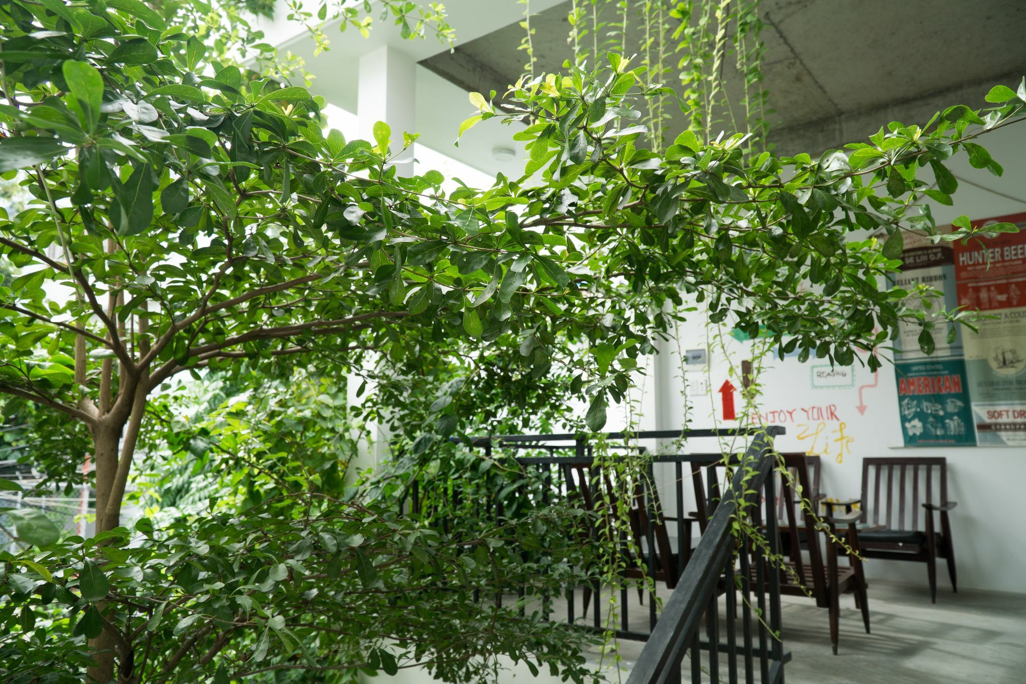 Kiu House - 3Br - Green & Artistic Da Nang Buitenkant foto