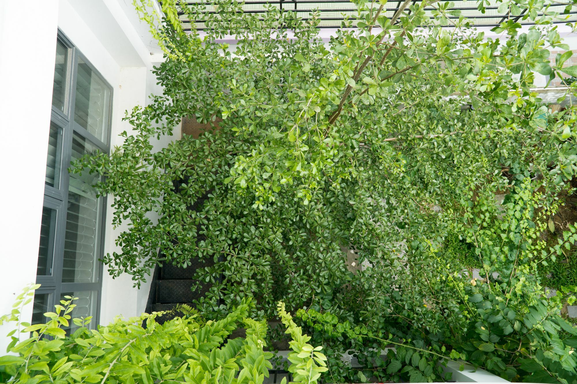 Kiu House - 3Br - Green & Artistic Da Nang Buitenkant foto